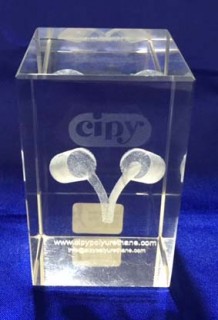 Cipy 3D Crystal Paperweight