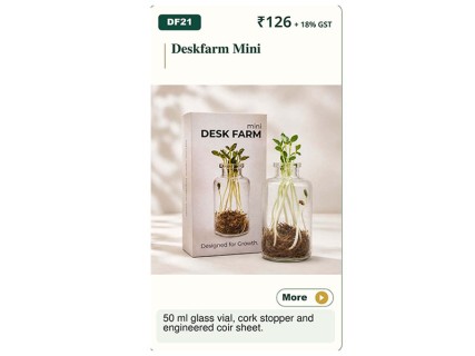 Desk Farm Mini - Corporate Gifts
