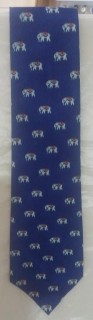 Ethnic Tie in Faux Silk