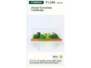 Forest Terrarium Landscape 