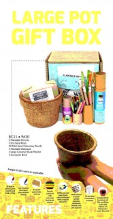Large Pot Gift Box