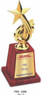 Metal Trophy