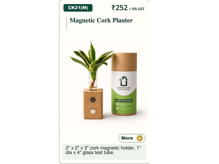 Magnetic Cork Planter  - Corporate Gifts