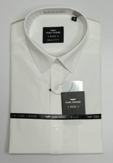 Park Avenue 