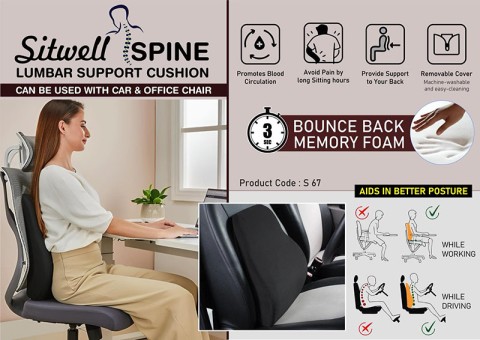 SitWell Spine  Cushion 